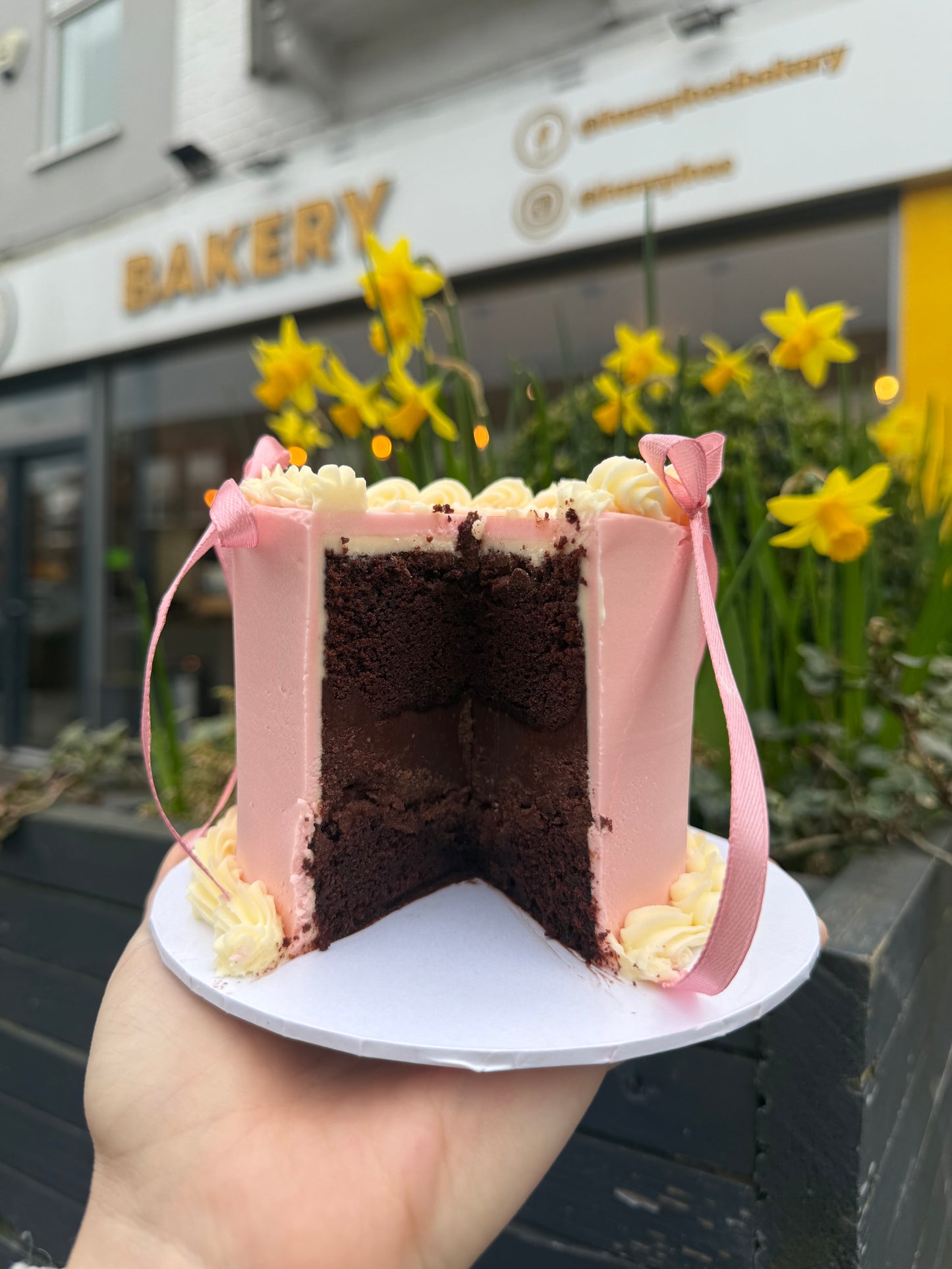 Mini Bento Cake