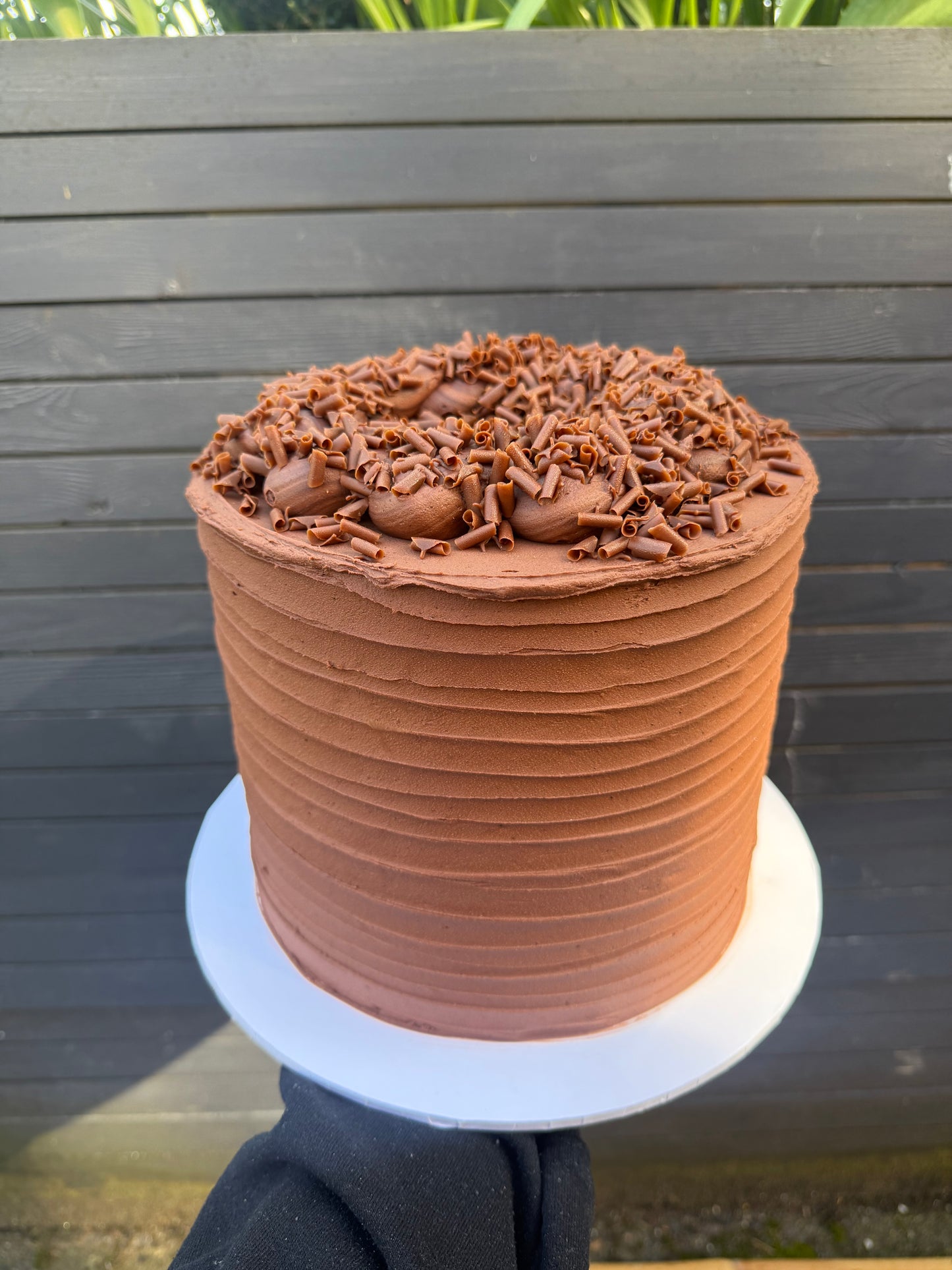 Simple Chocolate Cake